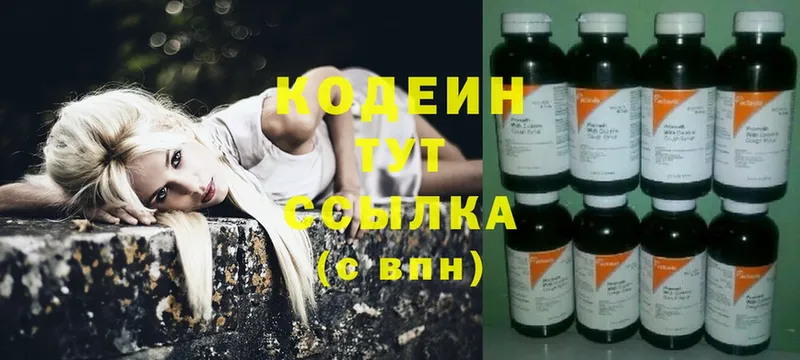 Кодеиновый сироп Lean Purple Drank  Никольское 