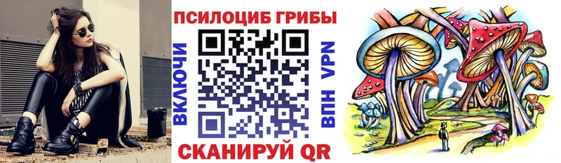 кракен как войти  Никольское  Псилоцибиновые грибы Psilocybine cubensis 